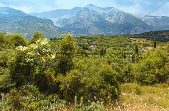 Summer mountain landscape (Greece)