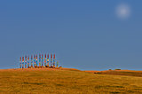 Buryat pillars in field