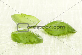 basil leaves.