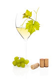 White wine in wine glass.