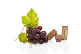 Wine corks, vine leafes and red grapes.