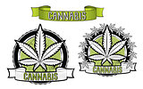 Set of cannabis and marijuana product symbol stamps vector