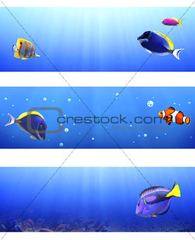 Set of banners with tropical fish