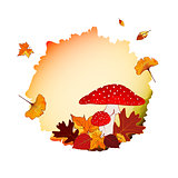Colorful Autumn Background