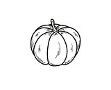 sketch of the pumpkin
