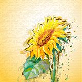 Grunge painting sunflower.