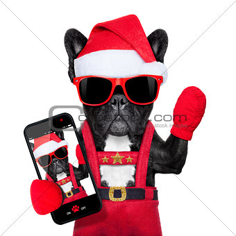 santa selfie dog