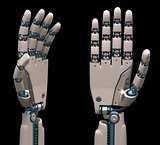 Robotic Hands