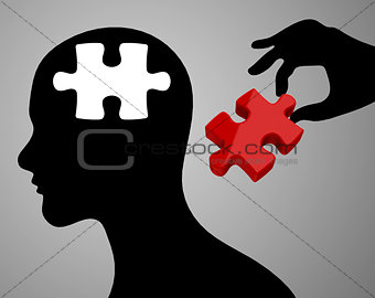 The brain jigsaw