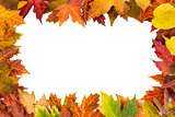 Background frame isolated colorful autumn leaves wedding party i