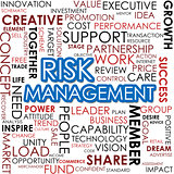 Risk management word cloud