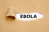 Ebola Torn Paper