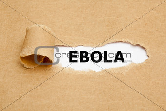 Ebola Torn Paper