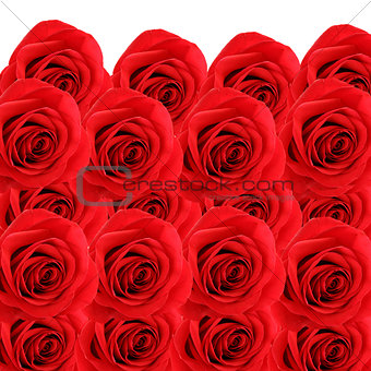 collage background of fresh beautiful red roses