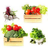 Set vegetables in wooden box, lettuce salad and beetroot on white background