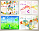 Collect Brochures Design Template