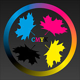 CMYK Maple Logo
