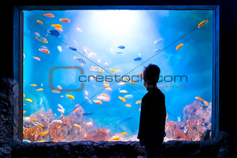 silhouette of a boy in front of an aquarium full of fish