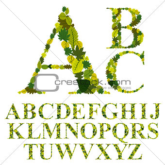 Font made with leaves, floral alphabet letters set, vector desig
