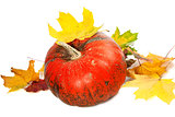 Red ripe pumpkin and autumn leaves
