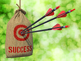 Success  - Arrows Hit in Red Mark Target.