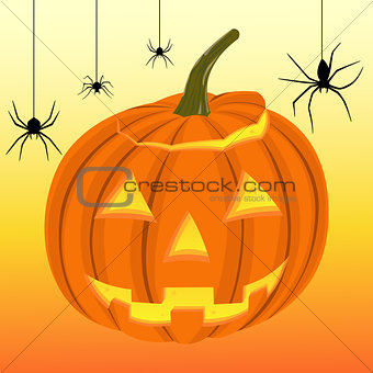 Halloween pumpkin and black spiders on the web