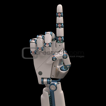 Pointing Robot