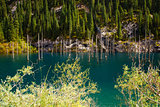 Kaindy Lake in Tien Shan mountain, Kazakhstan. 