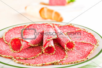 Salami plate close up.