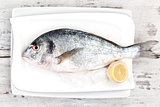 Fresh fish on white tray, mediterranean style.