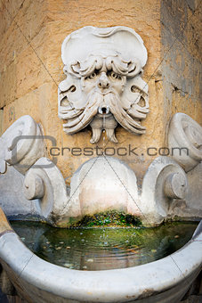 Fountain of Buontalenti