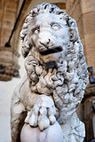 Lion sculpture Florence