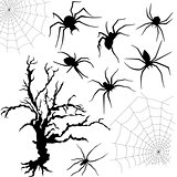 Halloween set of spiders, nettings and dried tree
