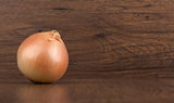 Fresh onion bulb