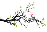 Owls in love on tree, vector