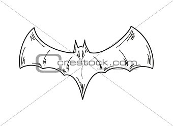 sketch of the bat