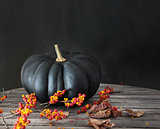 Black pumpkin with berries and leaves 