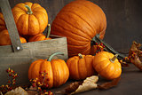 Small pumpkins with wooden box