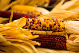 Organic Corn