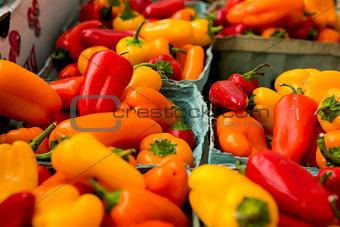 Organic Peppers
