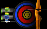 Sports Bow - Arrows and Target