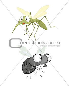 Insect, fly and mosquito
