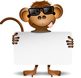 monkey with sunglasses
