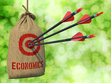 Economics - Arrows Hit in Red Mark Target.