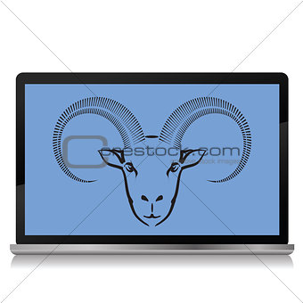 ram on the laptop screen
