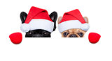 santa dogs