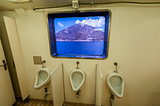 Toilet on a Ferry ship with urinals and window