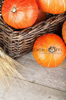 Ripe small pumpkins in basket