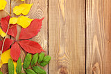 Autumn leaves over wood background