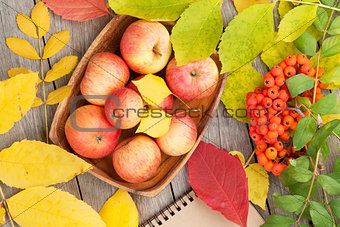 Autumn apples and leaves
